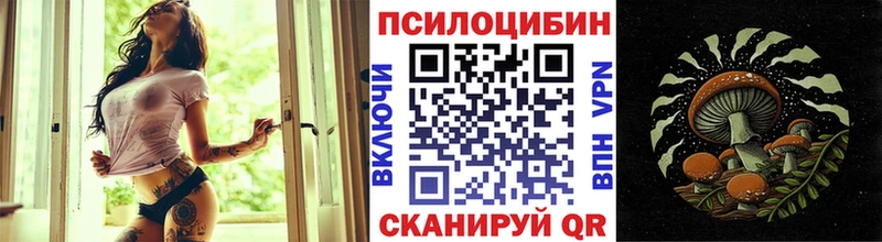 Галлюциногенные грибы Psilocybe  магазин    Нязепетровск 